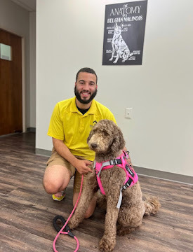 Brock hugging a dog after a successful board and train program